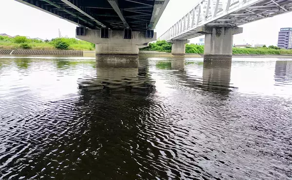 「「冬の河川が熱すぎる！」80cm級大型シーバスが連発【養老川】 想定外のマゴチも登場」の画像