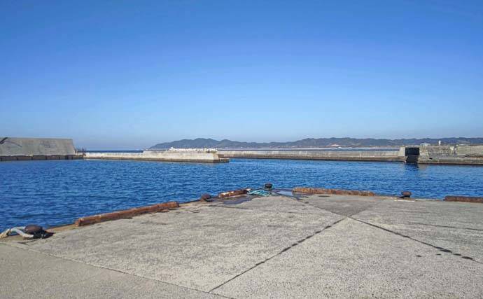 サビキ釣りに切り替えてサッパ12尾キャッチ【千葉・相浜港】クロダイ狙いはフグ猛攻で苦戦