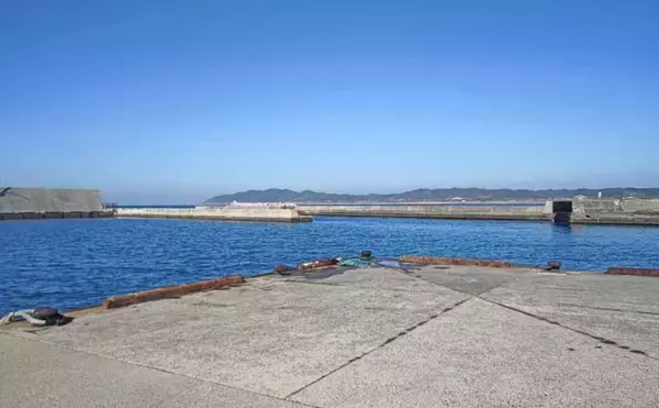 「サビキ釣りに切り替えてサッパ12尾キャッチ【千葉・相浜港】クロダイ狙いはフグ猛攻で苦戦」の画像