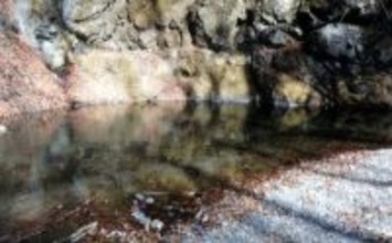 「甲斐サーモンも狙える！」 渓流釣りイチオシ河川：小菅川