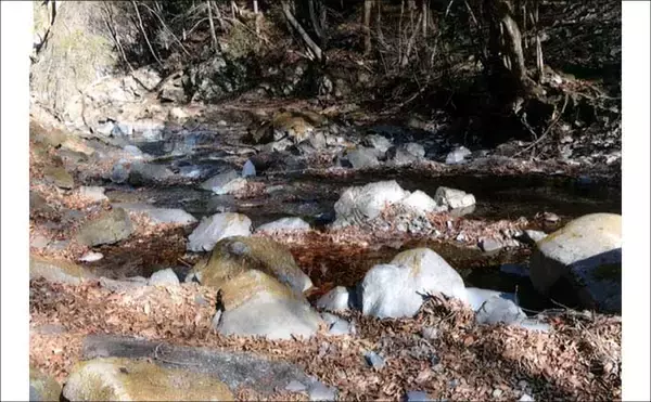 「「甲斐サーモンも狙える！」 渓流釣りイチオシ河川：小菅川」の画像
