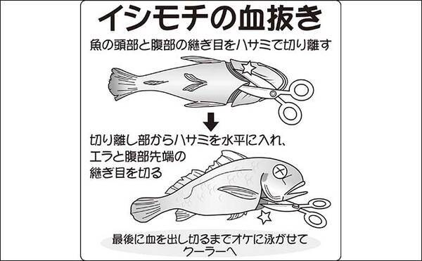 22年 関東の船イシモチ釣り入門 タックル 釣り方 釣況を解説 22年2月23日 エキサイトニュース