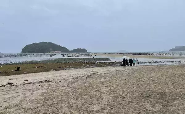 「解禁日の「潮干狩り」を満喫　雨天のお陰でアサリにハマグリがゴロゴロ」の画像