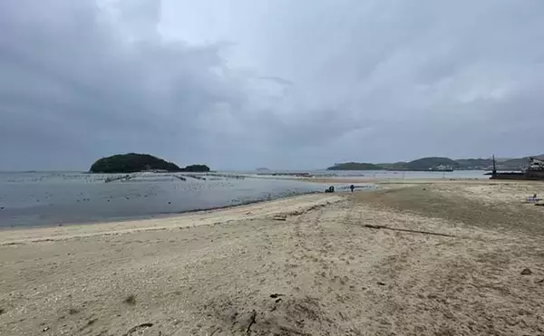 「解禁日の「潮干狩り」を満喫　雨天のお陰でアサリにハマグリがゴロゴロ」の画像