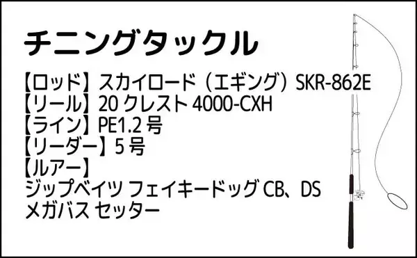 「陸っぱりチニング釣行で40cm超えチヌをキャッチ【熊本】プロペラ付きのルアーにヒット」の画像