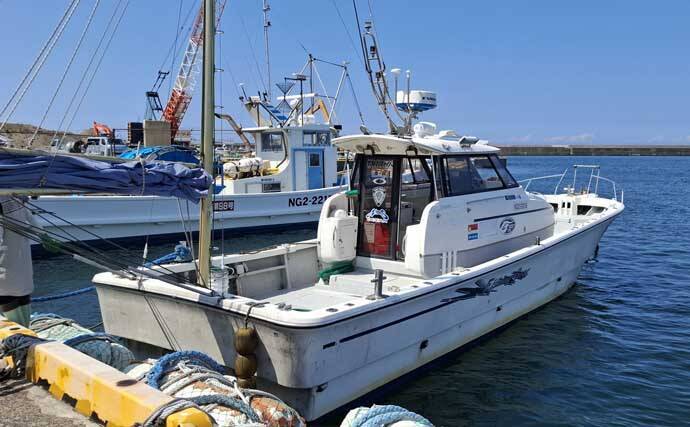 ひとつテンヤ釣りで40cm超え良型キジハタをキャッチ【新潟・千代丸】落とし方にコツあり