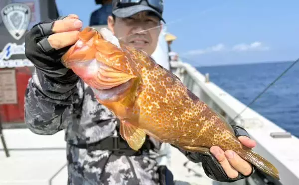 「ひとつテンヤ釣りで40cm超え良型キジハタをキャッチ【新潟・千代丸】落とし方にコツあり」の画像