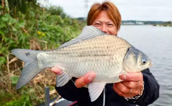 吉田康雄のザ・チャレンジへらぶな【川ベラでも狙ってみますか！#3】