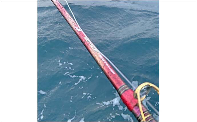 糸島半島沖の泳がせ釣りで70cm級ヤズ手中【福岡・幸風】良型ヒラメ＆アコウもヒット