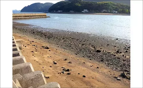 「「3月から本格シーズン到来！」 サーフで楽しむ【チヌラバ】ゲームのススメ」の画像