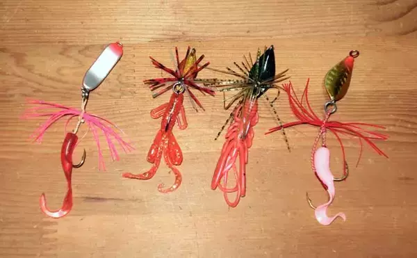 「「3月から本格シーズン到来！」 サーフで楽しむ【チヌラバ】ゲームのススメ」の画像