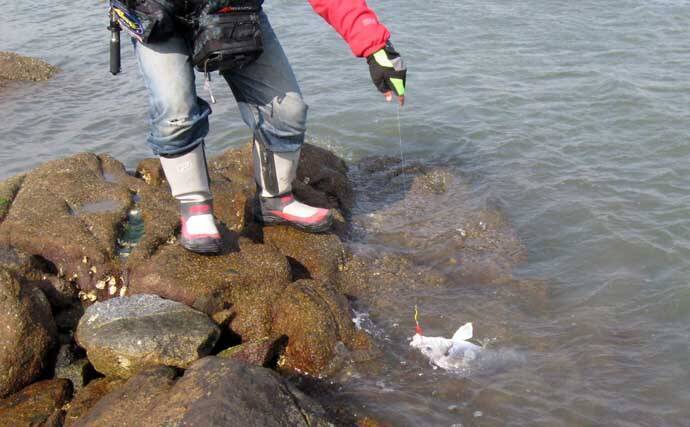 「3月から本格シーズン到来！」 サーフで楽しむ【チヌラバ】ゲームのススメ