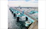 「東京湾の人気釣り施設「本牧海づり施設」「大黒海づり施設」をハシゴしてみた」の画像2