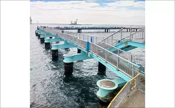 「東京湾の人気釣り施設「本牧海づり施設」「大黒海づり施設」をハシゴしてみた」の画像