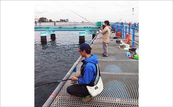 東京湾の人気釣り施設「本牧海づり施設」「大黒海づり施設」をハシゴしてみた
