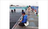 「東京湾の人気釣り施設「本牧海づり施設」「大黒海づり施設」をハシゴしてみた」の画像4