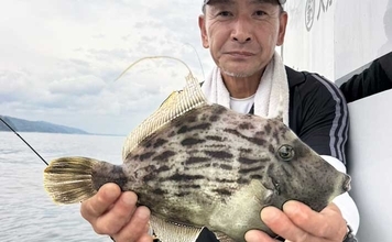 夏カワハギが絶好調！35cm級頭に尺超えが連発【船釣り最新情報6選・大分／熊本】