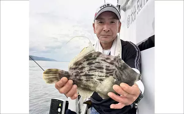 「夏カワハギが絶好調！35cm級頭に尺超えが連発【船釣り最新情報6選・大分／熊本】」の画像