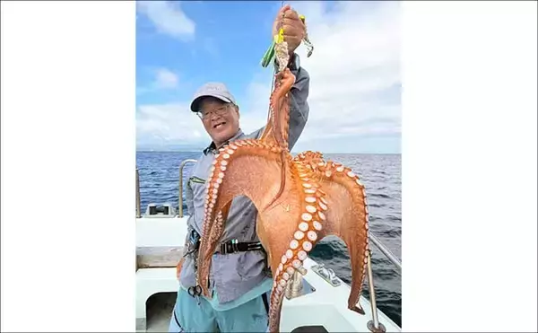 「夏カワハギが絶好調！35cm級頭に尺超えが連発【船釣り最新情報6選・大分／熊本】」の画像
