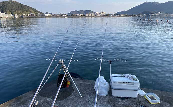 堤防からの投げ釣りで好打　本命カレイに46cmアコウにクロダイと多彩