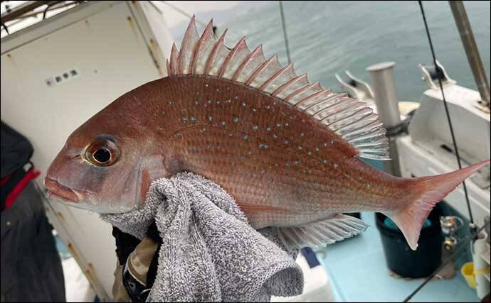 関門一つテンヤ釣りで良型マダイ手中　低活性時はステイより誘いが重要