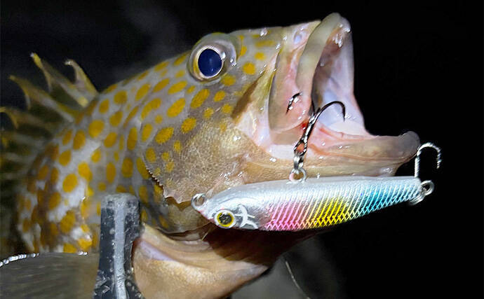 ルアーが付いたまま逃げた魚はその後どうなる？　掛かった場所によっても生存率に差ありか