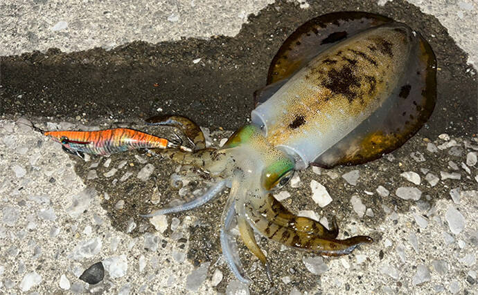 陸っぱり遠征釣行でレアなゲスト魚含む11魚種と対面【大分】 名物「とり天」も堪能