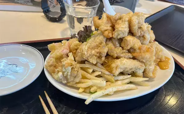 「陸っぱり遠征釣行でレアなゲスト魚含む11魚種と対面【大分】 名物「とり天」も堪能」の画像