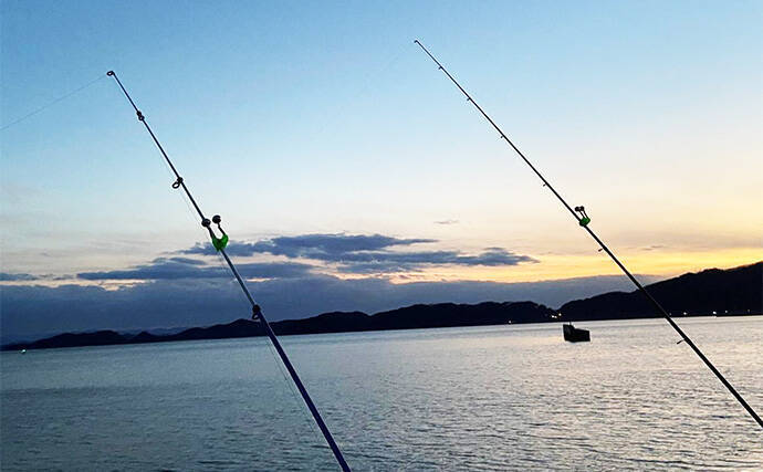 「タックルより仕掛けが重要？」 堤防ぶっこみアナゴ釣りの仕掛けを徹底解説