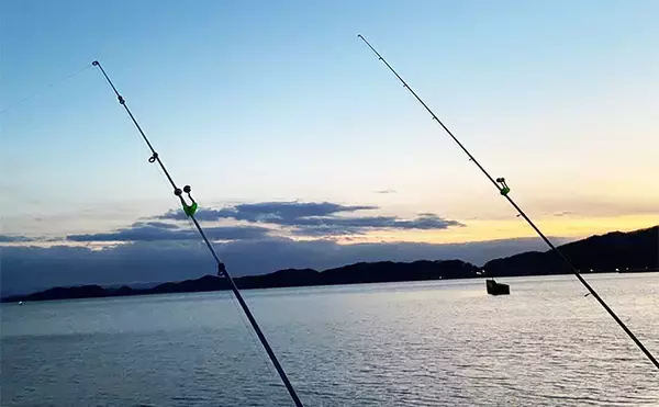 「「タックルより仕掛けが重要？」 堤防ぶっこみアナゴ釣りの仕掛けを徹底解説」の画像