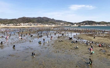 解禁初日の潮干狩りでハマグリ＆アサリ合わせて規定量採取を達成！【愛知・鳥羽海岸】