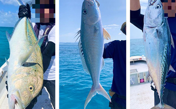 「投げる・誘う・また投げる！」 ボートGTキャスティングでメーター超えを狙う【石垣島】