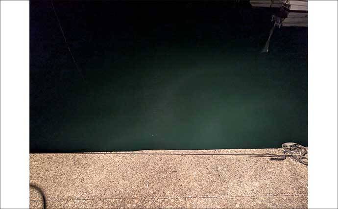 紀南エリアのランガンルアーフィッシングでガシラ祭り【和歌山】今後はアオリに期待