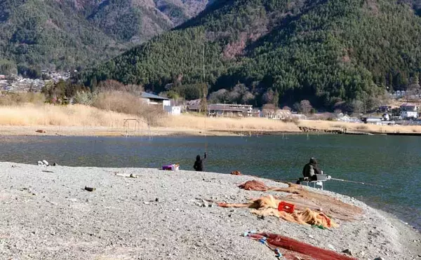 今週のヘラブナ「ピックアップ」釣り場2026【山梨・河口湖】