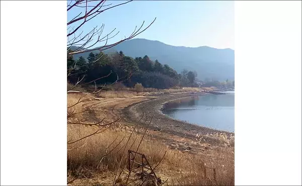 「今週のヘラブナ「ピックアップ」釣り場2026【山梨・河口湖】」の画像