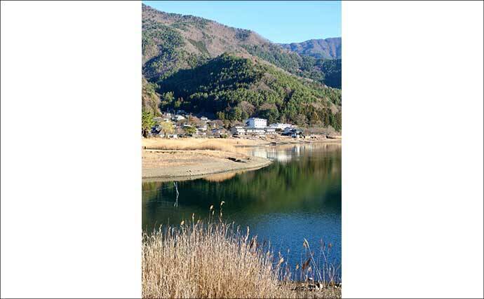 今週のヘラブナ「ピックアップ」釣り場2026【山梨・河口湖】