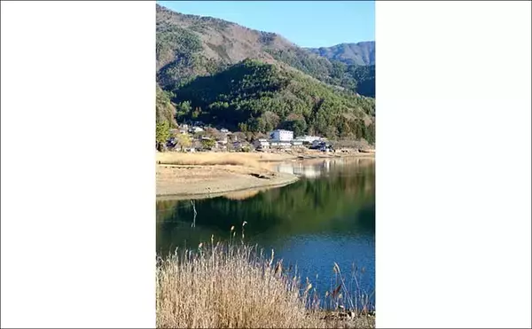 「今週のヘラブナ「ピックアップ」釣り場2026【山梨・河口湖】」の画像