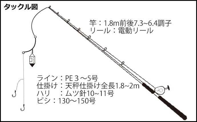 陸 沖でのアジ釣り仕掛け徹底解説 大型狙いにオススメの釣り方は 22年5月14日 エキサイトニュース 4 7