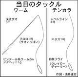 夜の堤防で のべ竿 ルアー釣り ジグ単とフライでカサゴ2ケタ釣果 22年6月1日 エキサイトニュース