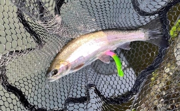 スプレー缶でルアーを塗装する方法　釣れた時の満足感はプライスレス