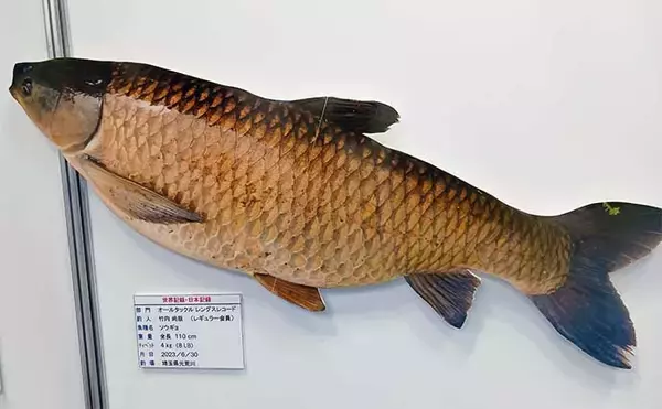 「淡水大物釣り日本記録保持者が初めて『釣りフェスティバル』に行ってみた」の画像