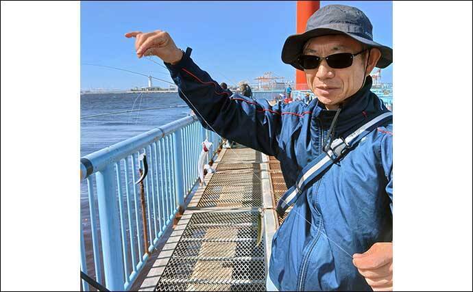 大黒海づり施設に「シリヤケイカ」接岸中【横浜】700g頭に釣り場全体で26尾