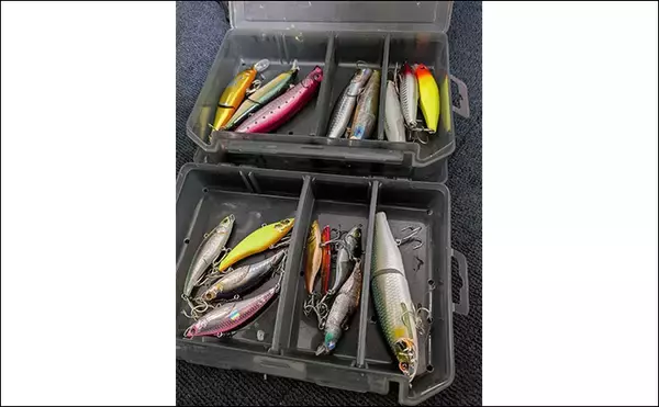 「イクメンは子供寝かしつけ後の短時間に魚を釣る！ 短い時間で釣果をあげる3つのコツ」の画像