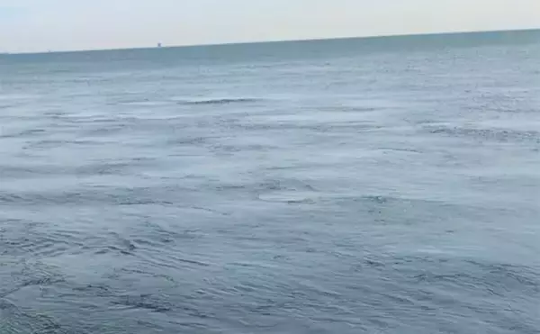 「暴風＆激流の淡路島ライトゲームでガシラ30匹超えキャッチ【兵庫】25cm級も登場」の画像