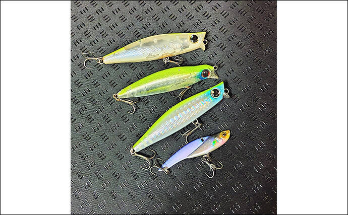 沈むルアー代表「シンキングミノー」は真冬こそ効果的！低活性時の使い方を解説