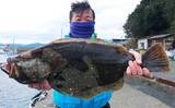 「船釣り最新釣果情報【三重】泳がせ釣りでグッドサイズのヒラメが顔出し」の画像13