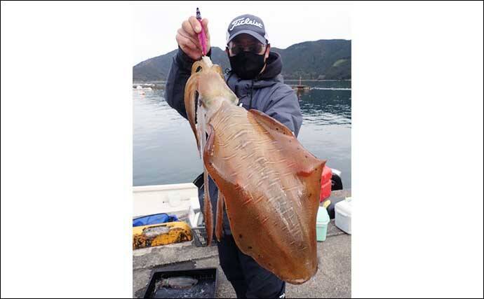 船釣り最新釣果情報【三重】泳がせ釣りでグッドサイズのヒラメが顔出し