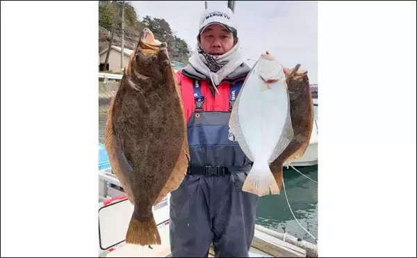 「船釣り最新釣果情報【三重】泳がせ釣りでグッドサイズのヒラメが顔出し」の画像