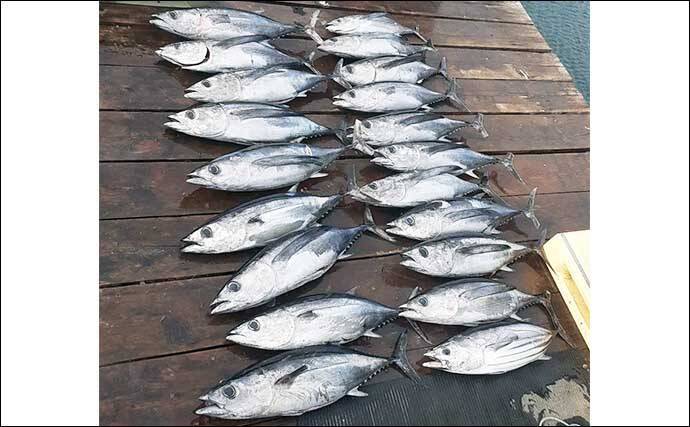 船釣り最新釣果情報【三重】泳がせ釣りでグッドサイズのヒラメが顔出し