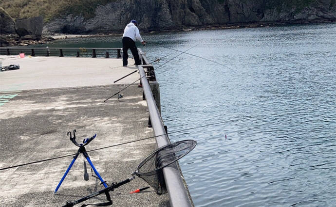 伊豆のアングラーがオススメする【夕日の絶景】が楽しめる釣り場紹介：妻良の堤防